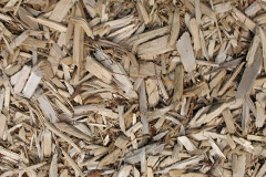 biomass boilers Duxmoor